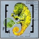 FRONTLINE ASSEMBLY Flavour of the Weak CD FRONT LINE