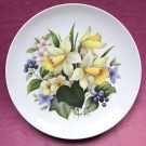 RARITÄT - Wand- und Sammelteller aus Kaiser-Porzellan Durchmesser 24 cm