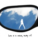 2 Aufkleber Perle für Mercedes-Benz  ML 270