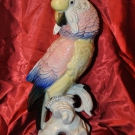  ENS Große Porzellan Figur Vogel Papagei Kakadu  36 cm.