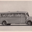 Mercedes Benz Typ O 3500 * STADT - OMNIBUS * orig. Sammelbild * 1952