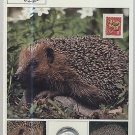 Karte Tiere der Heimat - Igel