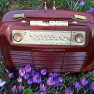 Uraltes Röhren Kofferradio  Kofferröhrenradio Schaub-Camping-Touring v. 1954