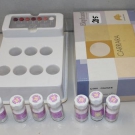 Elephant Carrara Gum Shade Sortiment mit Farbskala Art. Nr. 288