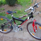 Kinder-Jugend alu MTB Fahrrad von Cyco 24" 24Gs Rh.40cm VG gut