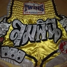 TWINS Muay Thai Shorts, Gr.M, Special Design Nr. 24, Thaiboxhosen, Short, MMA