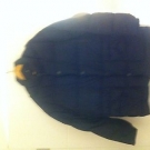 Herren Daunenjacke Cerrutti