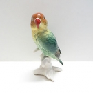 Karl Ens Volkstedt Porzellan Papagei Unzertrennliche7587A