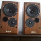  1 Paar Ruark Sceptre Lautsprecher 