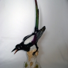 XL! Porzellan Vogel Figur ELSTER , Potschappel  Dresden, Anf.20.Jh., H.: 43 cm.