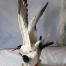 SEESCHWALBEN - PAAR, Hutschenreuther Kunstabteilung,  rar, 36 cm, Vogel, Möwe, 
