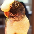 Porzellan Figur Papagei Karl Ens Rudolstadt 39cm