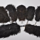 i10s26- Konvolut alte Hutfedern