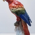 A LARGE ANTIQUE SITZENDORF DESDEN PORCELAIN FIGURE OF PARROT / MCCAW