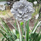 Neu: Latex Form "Wildrose" 19cm Durchmesser! (für Beton, Gips, Seife, Wachs)