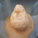 Garden ornament Latex Rubber Mould Of lying down Hedgehog 